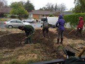 Shaping the basins