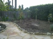 This is just the start of a beautiful productive forest garden!