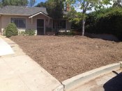 Sheet mulching creates the conditions for the lawn to die