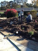 busy at work placing the plants