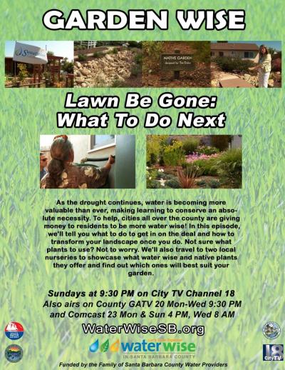 Garden Wise episode 11: Lawn be gone