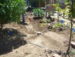 Creating swales around fruit trees for tank overflow in a Sweetwater workshop